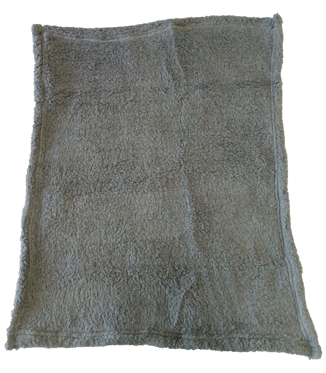 Coral Fleece Blanket