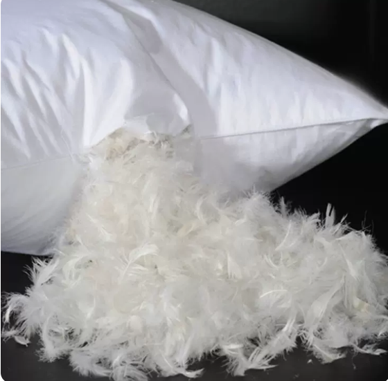 Duck Feather Cushion